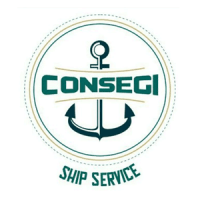 Consegi servicos