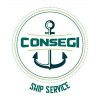 Consegi servicos